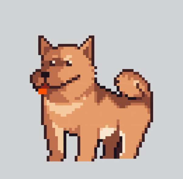dogcoin123